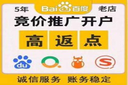 百度SEM竞价推广案例解析：某知名品牌如何抢占市场先机